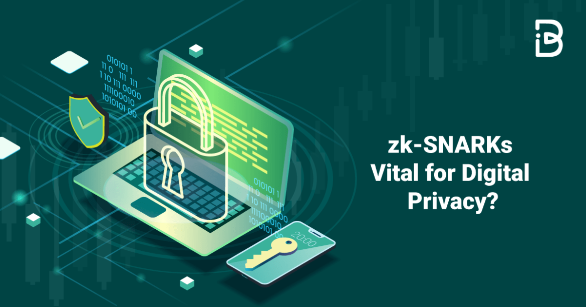 zk-SNARKs -Vital for Digital Privacy?